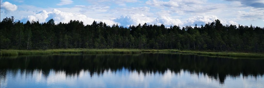 Atte Lempiäinen banner