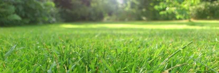 karlabtp_'s profile banner image
