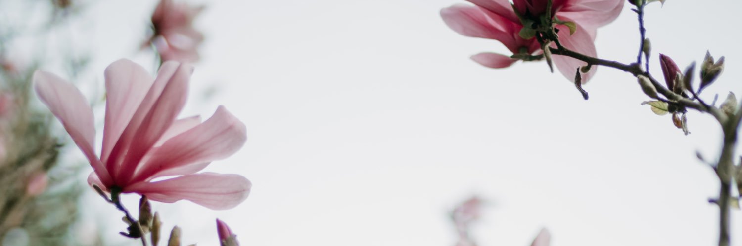 sianbasically's profile banner image