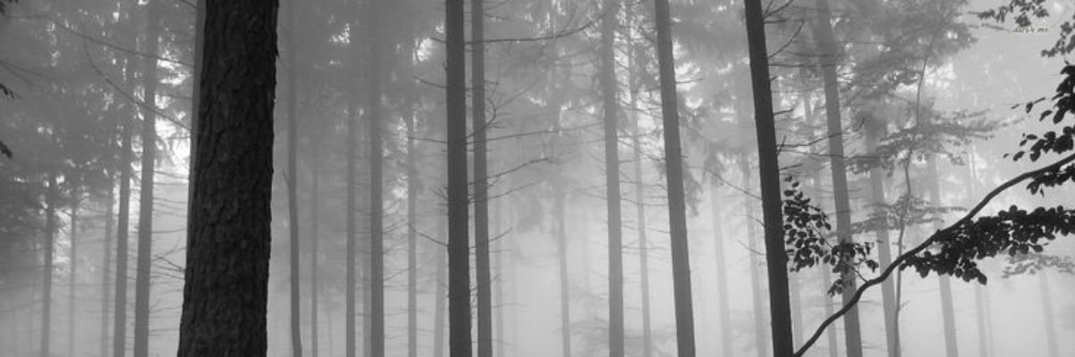 ___a_vv's profile banner image