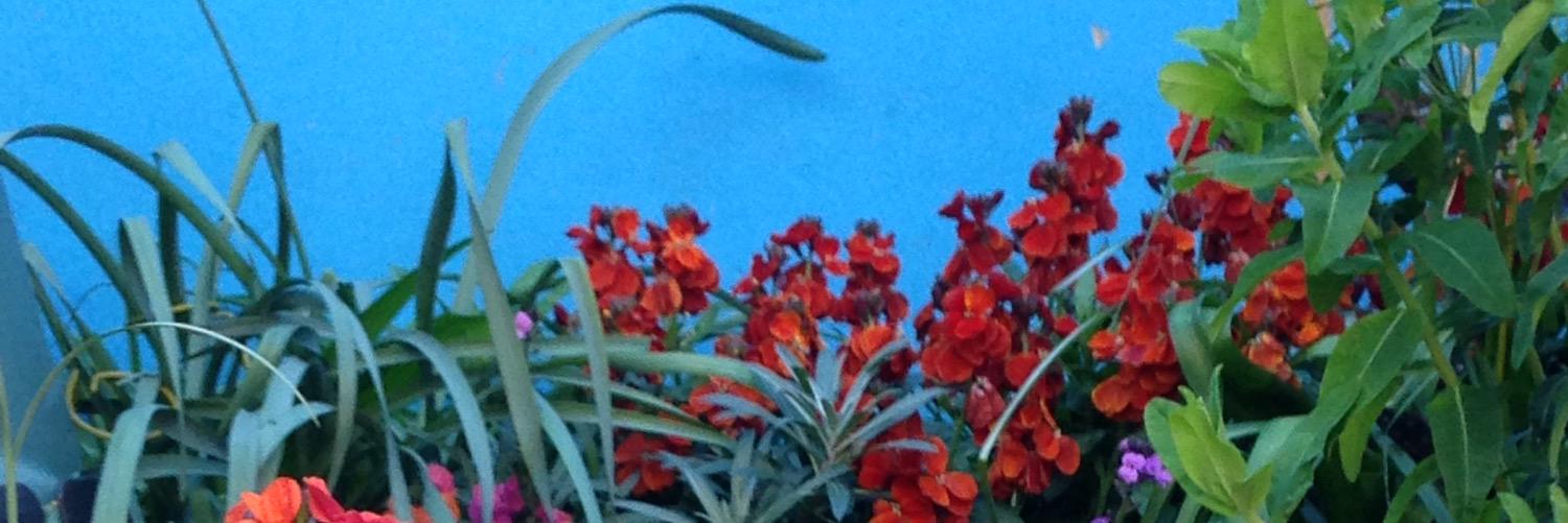 Tessadjua's profile banner image