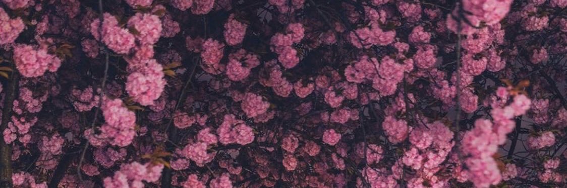 i_lwel's profile banner image