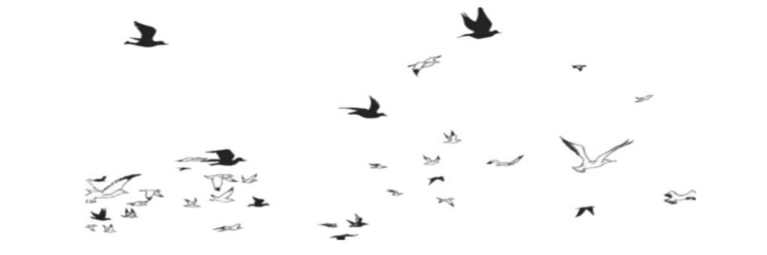 adc113's profile banner image