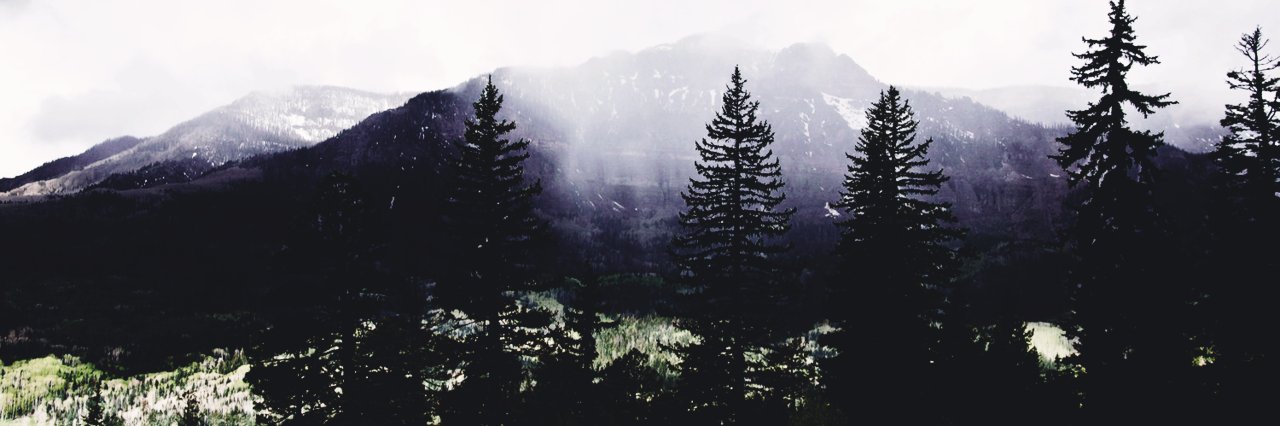 NotYourWriter's profile banner image
