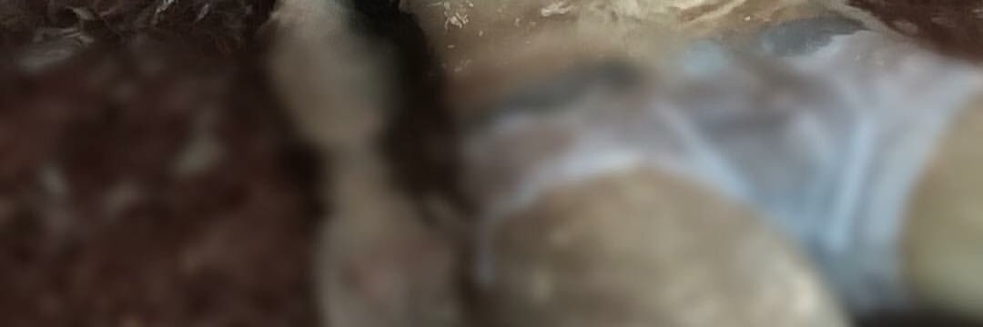 krub29's profile banner image