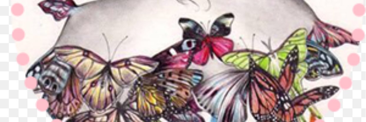 om_ali_mon's profile banner image