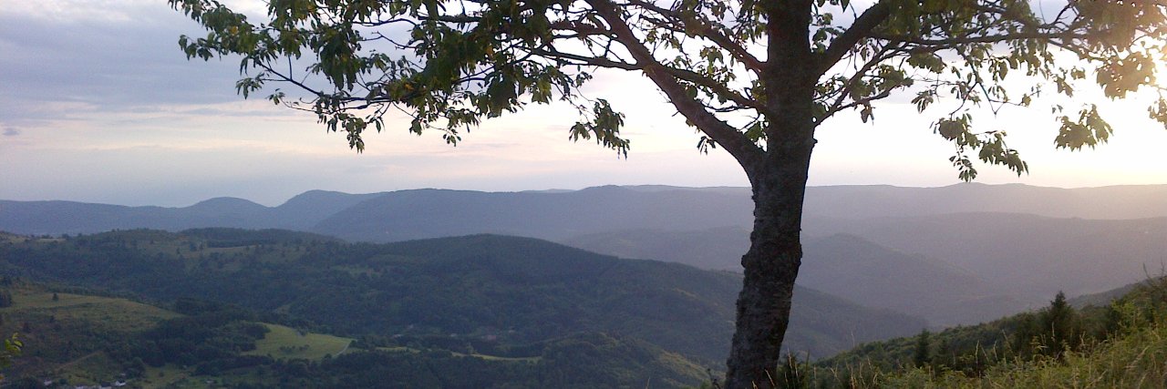 cerd_struthof's profile banner image