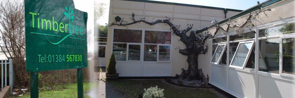 timbertreeaca Profile Banner
