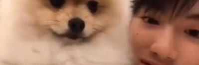 pwaerpp's profile banner image