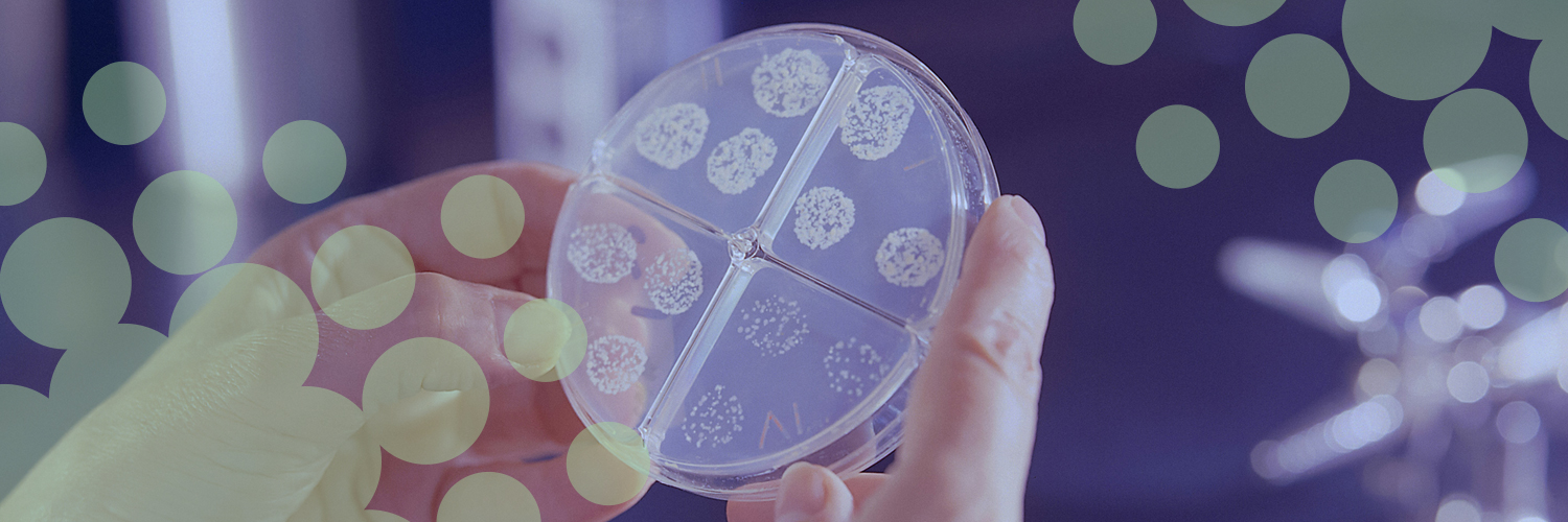 The Australian Society for Medical Research (ASMR)'s banner