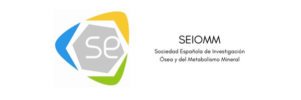 seiomm Profile Banner