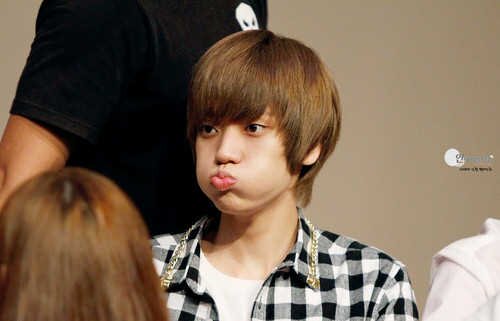 Niel_bot_th's profile banner image