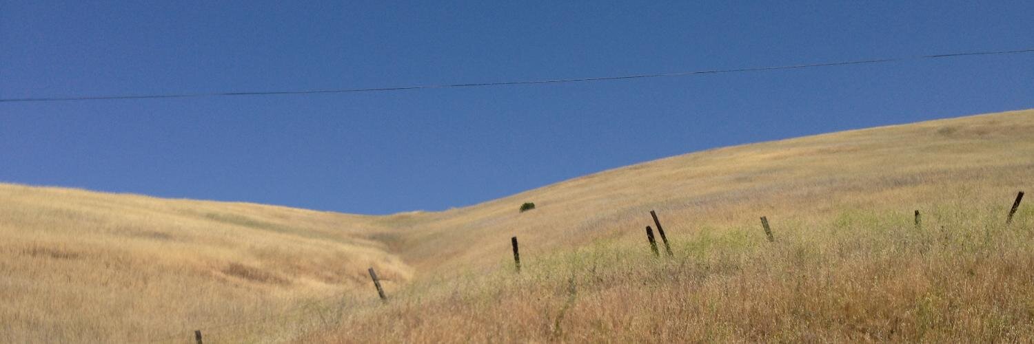 oddss's profile banner image