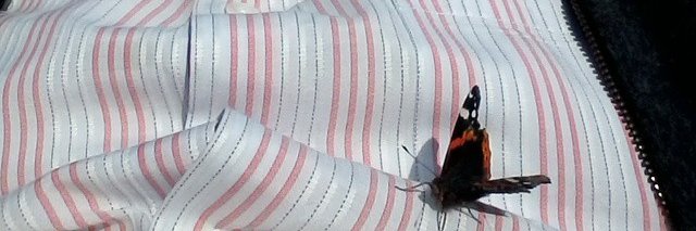 bbenol's profile banner image