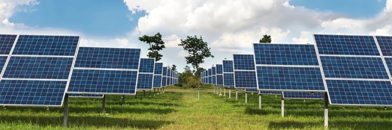 South Carolina Solar Business Alliance banner