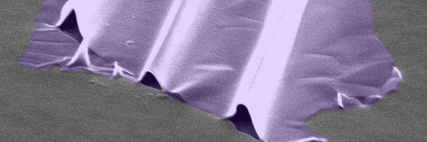Castellanos Lab's banner