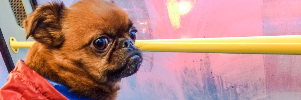 jstnotinspired's profile banner image
