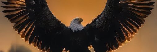 Mariano banner