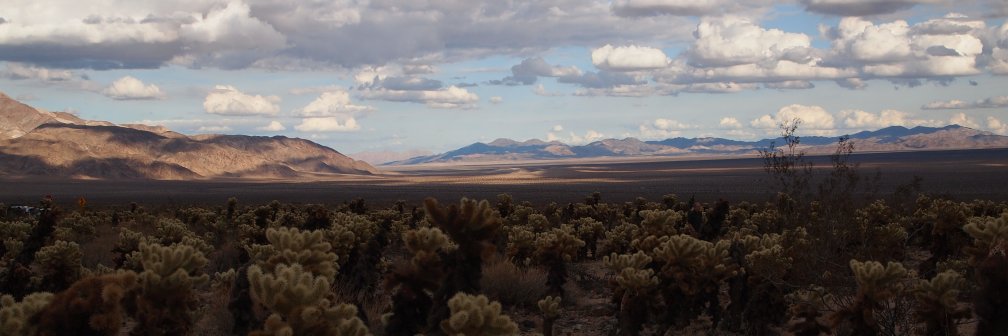 Kisha Delain 🛩️ banner