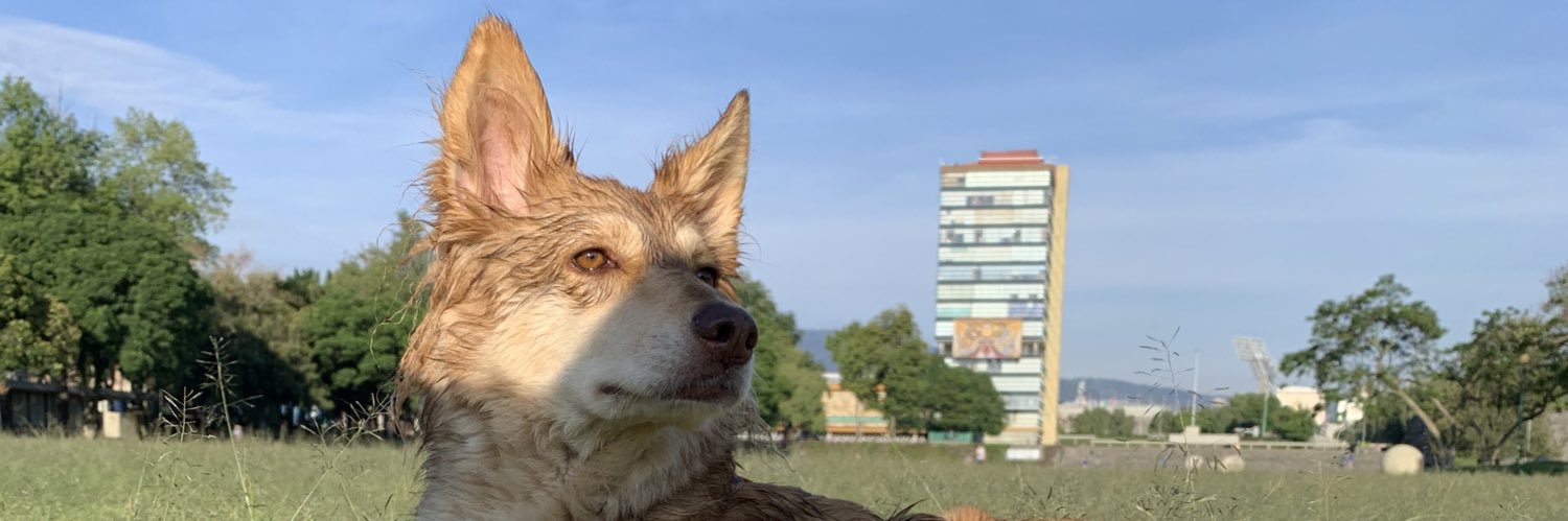 claugamo's profile banner image