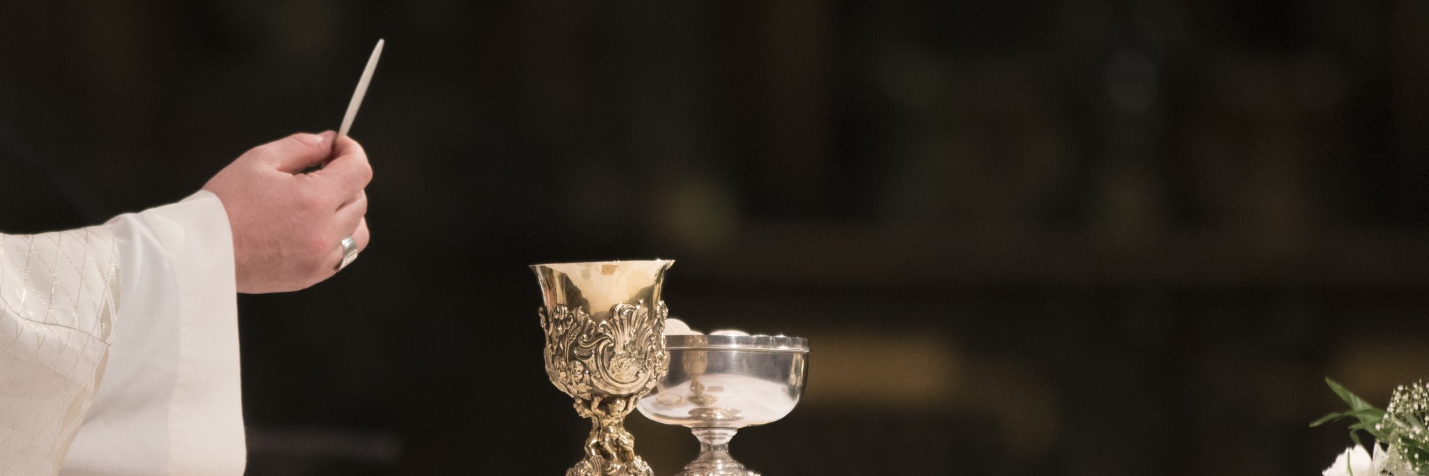 Daily TV Mass banner