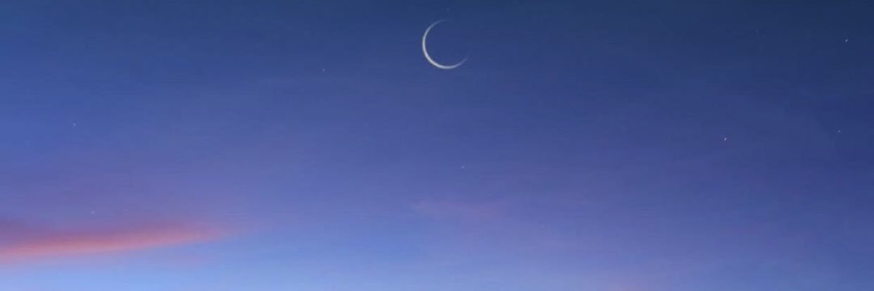 fatimaergul's profile banner image