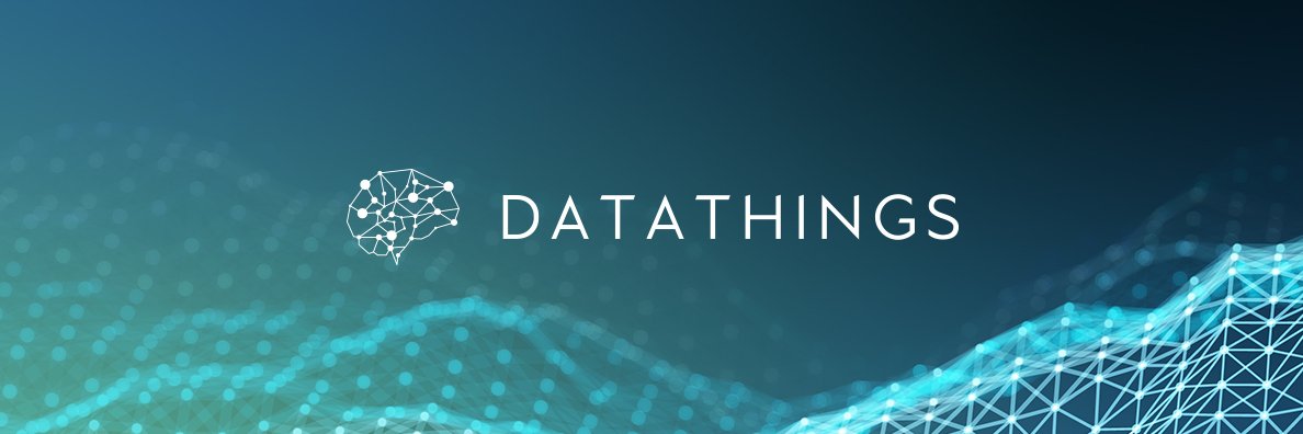 DataThings banner