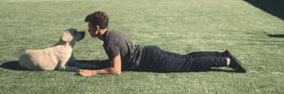 notrafiki_'s profile banner image