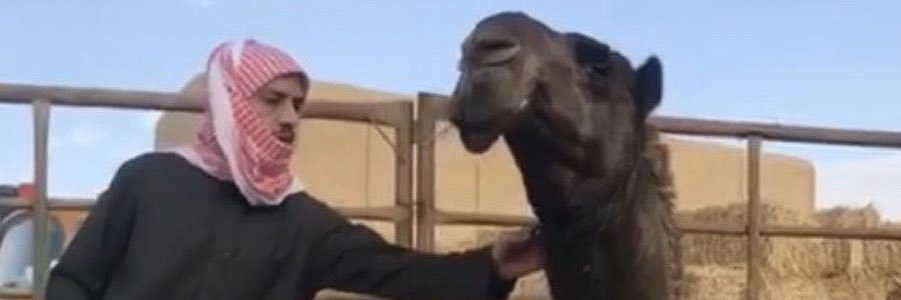 سرور محمد بن سرور النصافي banner