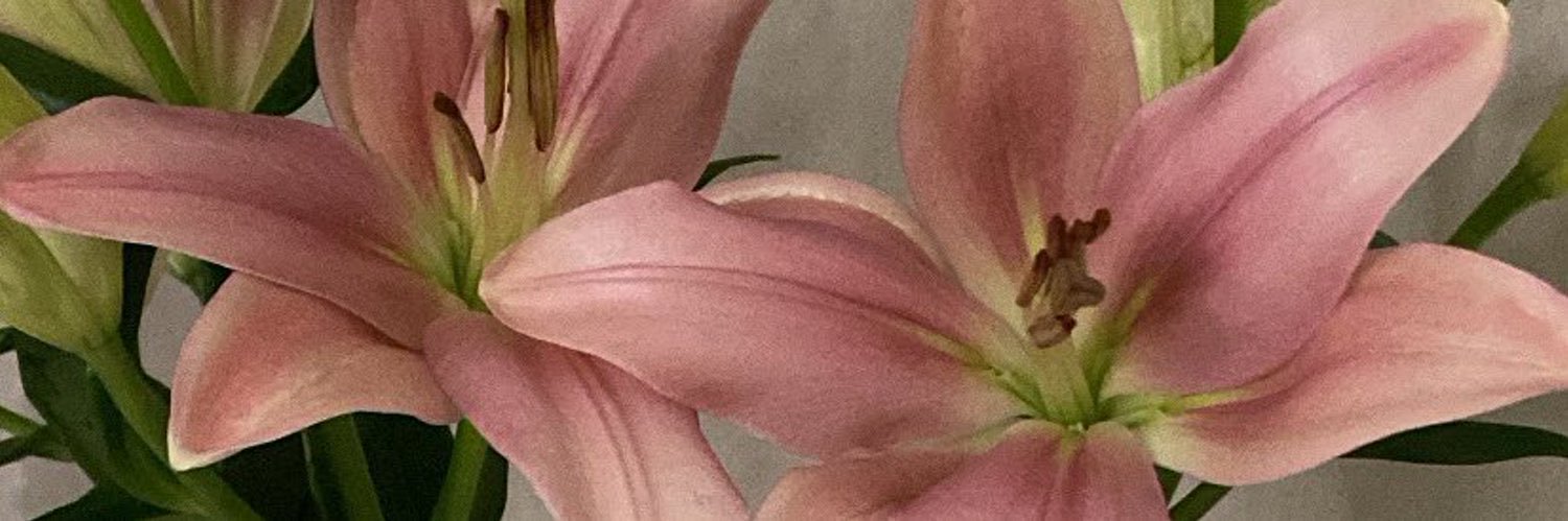 نـوره banner