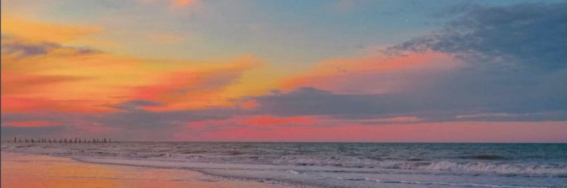 stacyackerson's profile banner image