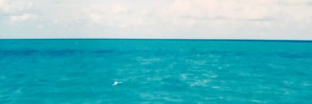 ChummyLu's profile banner image