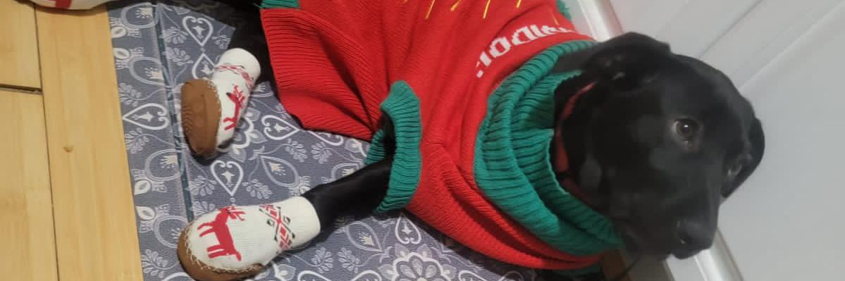GreatoneJok's profile banner image