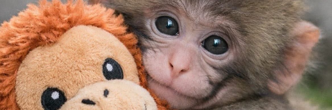 icymuffin's profile banner image