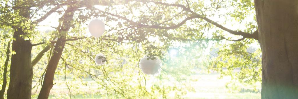 _MCEngels's profile banner image