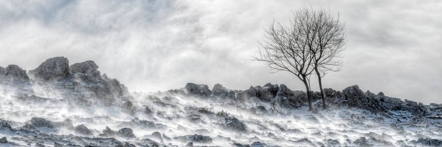 LDS_Nature_Ph's profile banner image