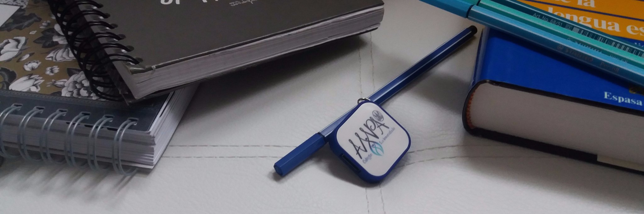 Ampa Inmaculada banner