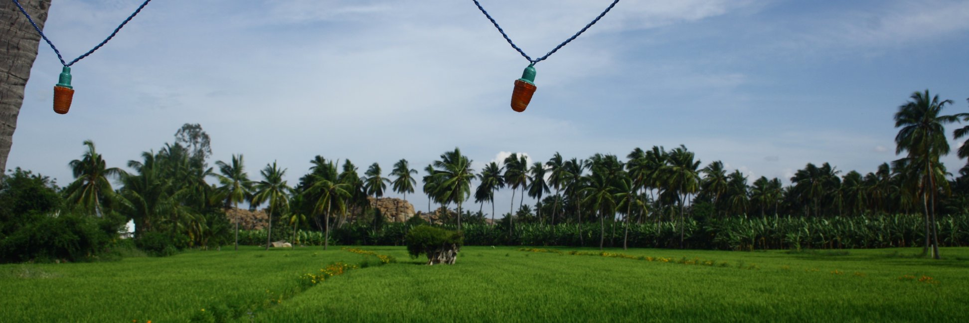 chitrab3's profile banner image