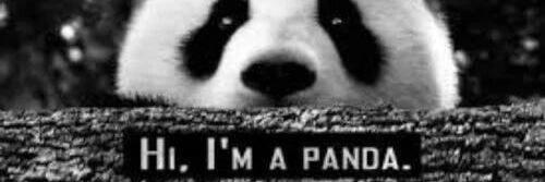 Pingkan_naomi's profile banner image