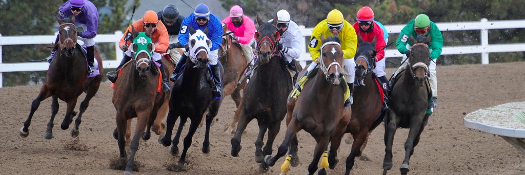 Justin Dannelly banner