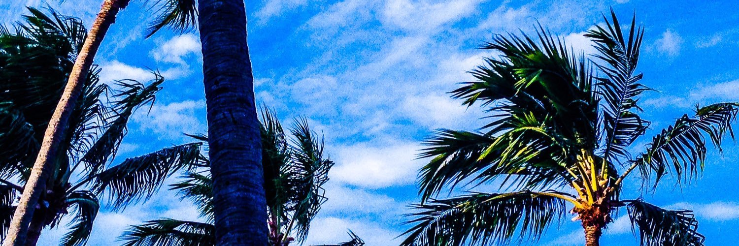 seghnot's profile banner image