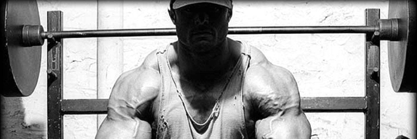 leonelvezzani's profile banner image