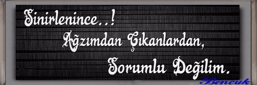nermineda1's profile banner image