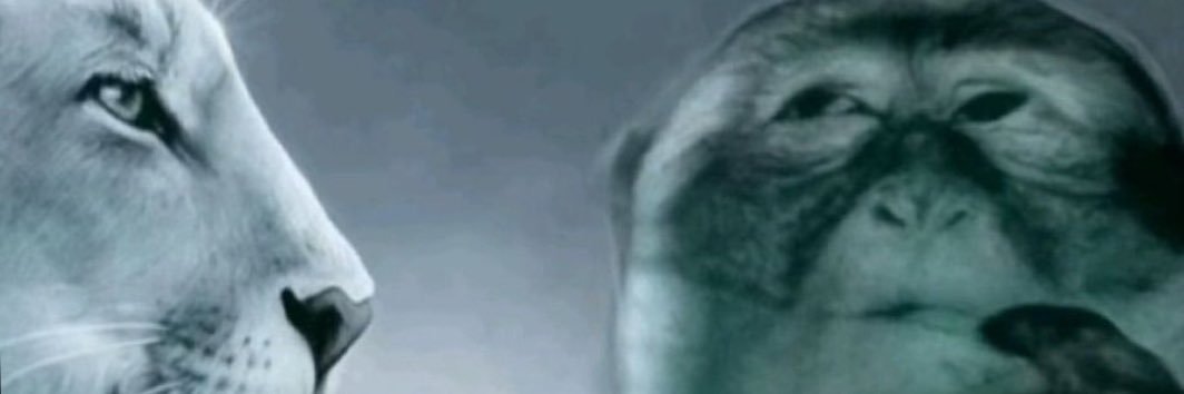 Ben banner