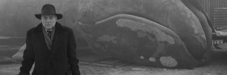 Pedro Riguetti banner