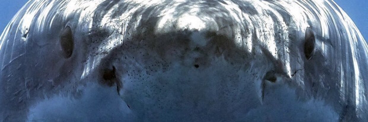 DavidAP2203's profile banner image
