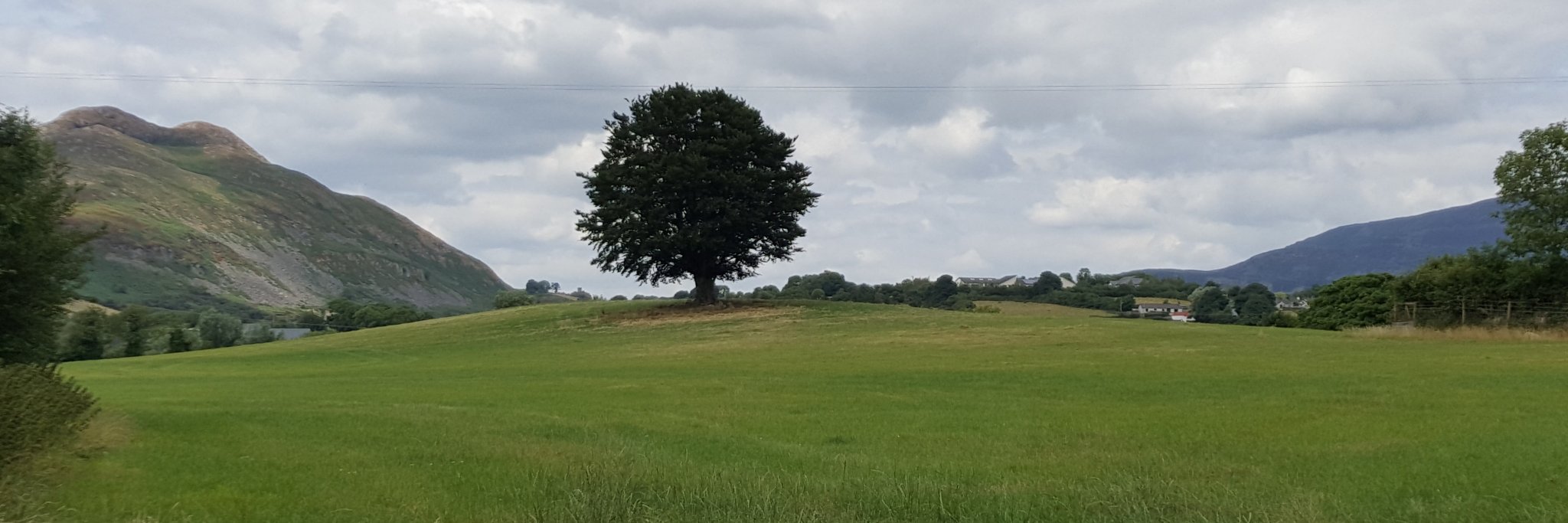 Pól Mac Fhloinn banner