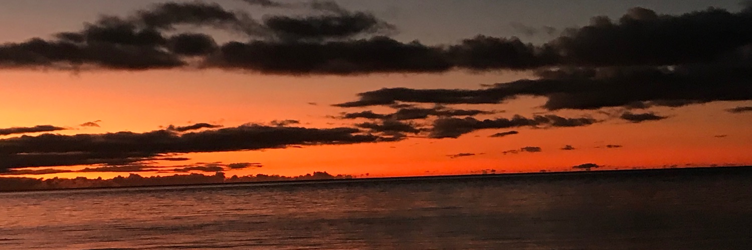 Quit The Lies 🕊🤍 banner