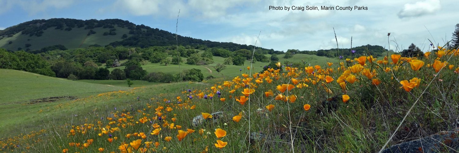 City of Novato banner
