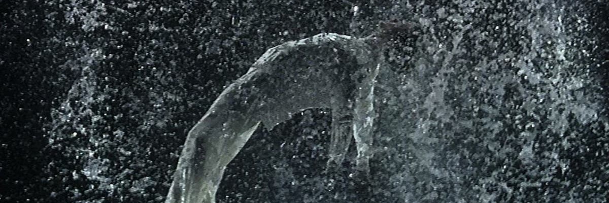 Chris Sauerwald banner